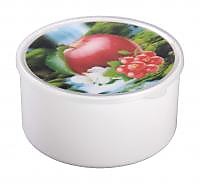 Ёмкость "Эффект" (яблоко) 1,0л /28/ А